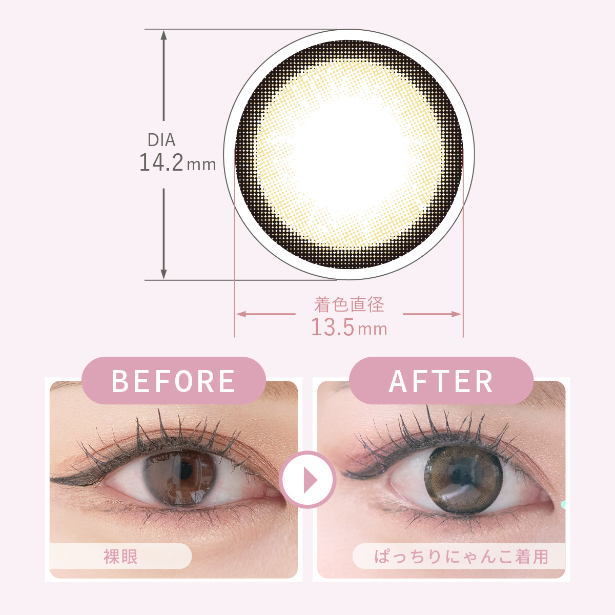 MieQaM 1 day Contact Lenses 每日即棄有色隱形眼鏡 10片 Patchiri Nyanko