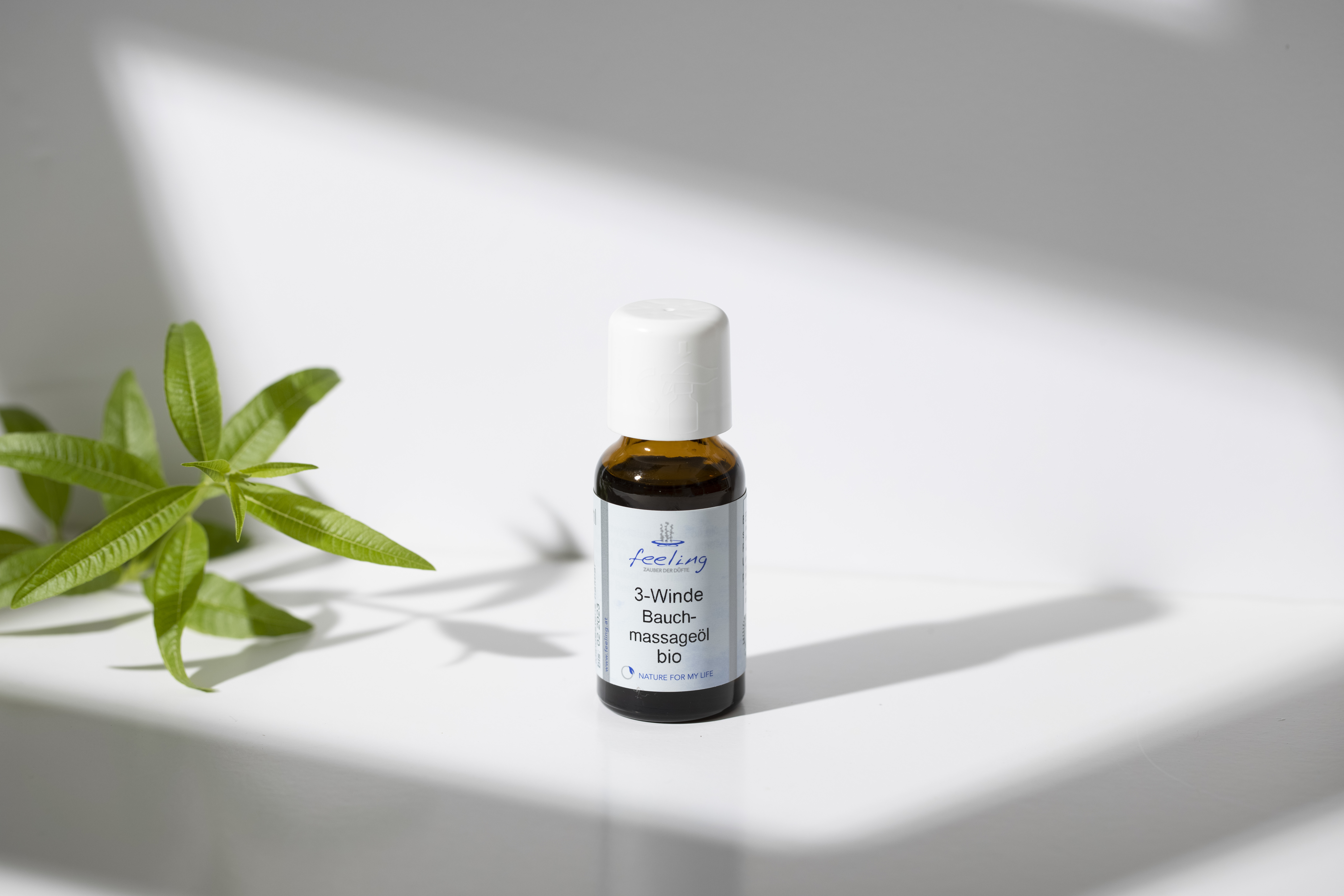 肚子照護 | 巴豆肚肚按摩油