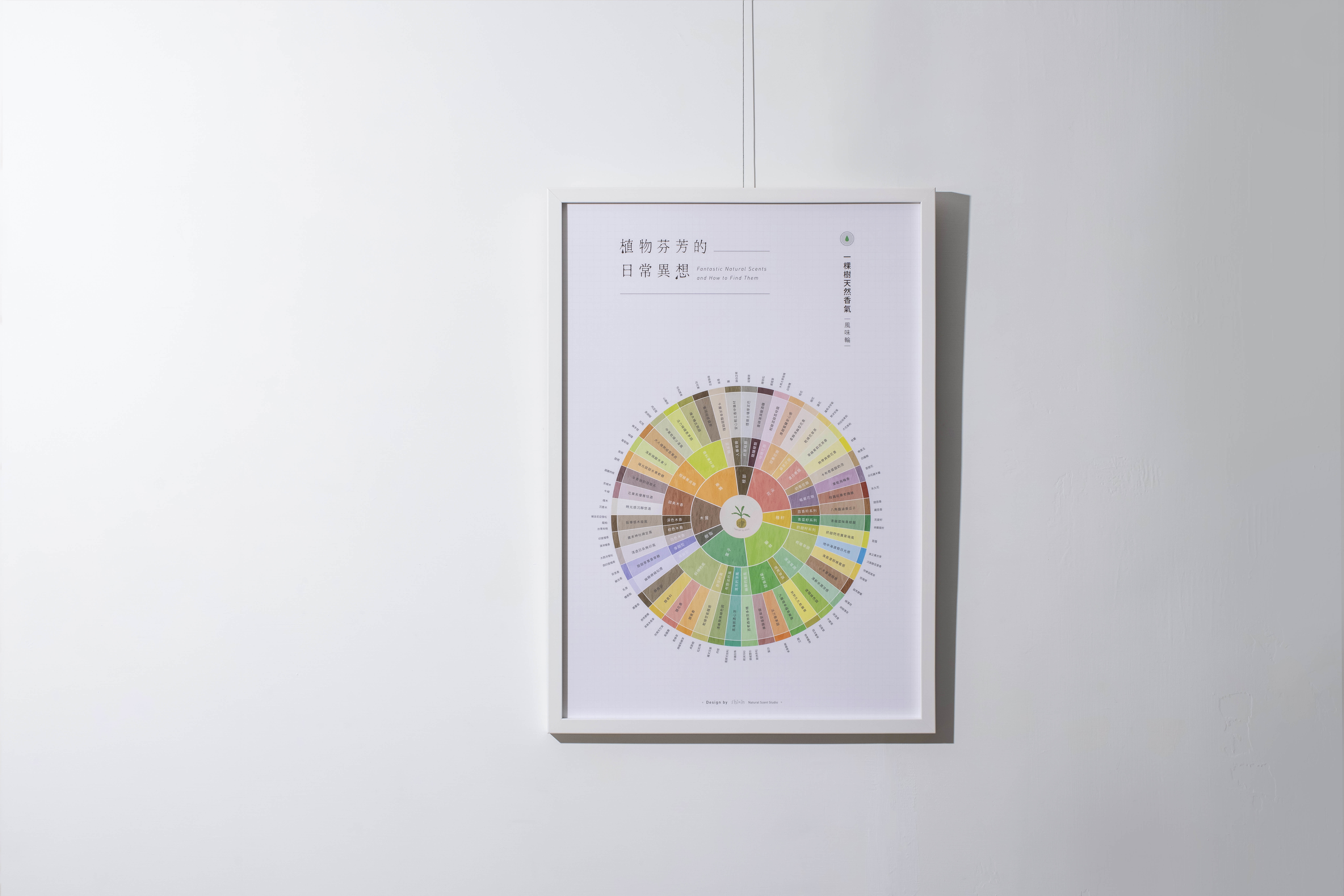 拾心設計 | 天然香氣風味輪．香氣海報