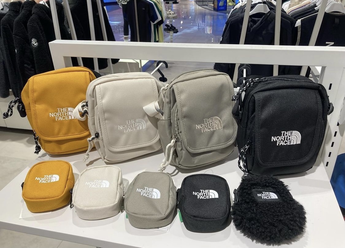 the north face pouch mini