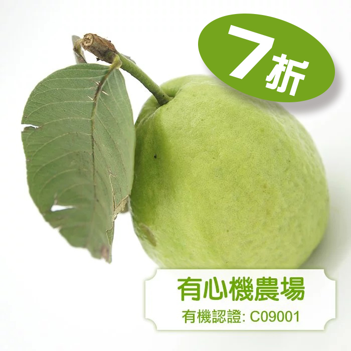 [有心機] Organic Guava 有機白肉番石榴 1磅 (453g)