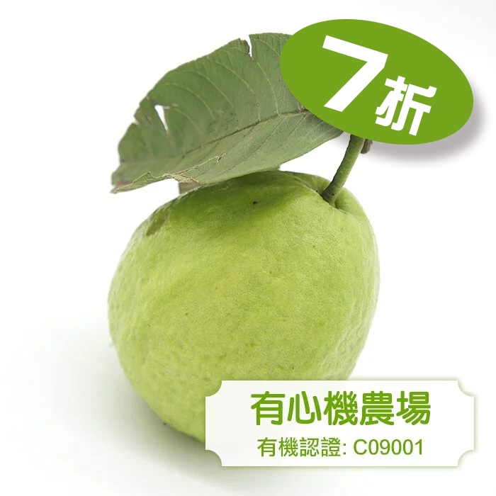 [有心機] Organic Guava 有機紅肉番石榴 1磅 (453g)