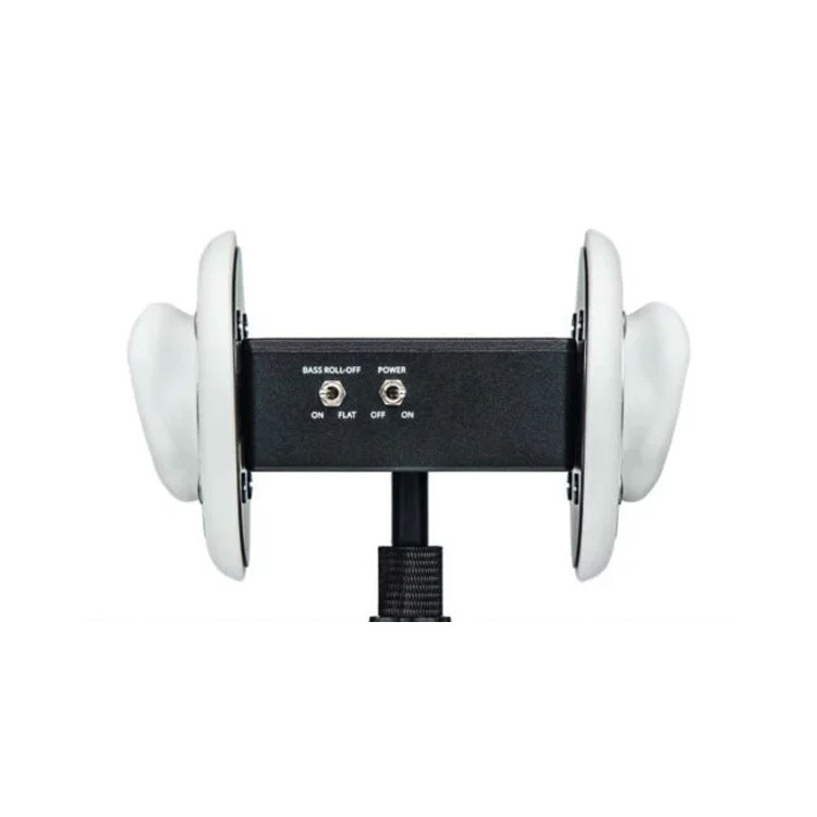 【出租】3DIO Free Space 雙耳麥克風，可使用2/5天