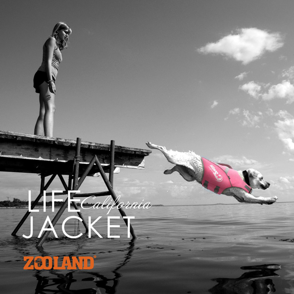 Zooland - 美國Wave Rider Series 狗狗救生衣-紅色（2尺寸)