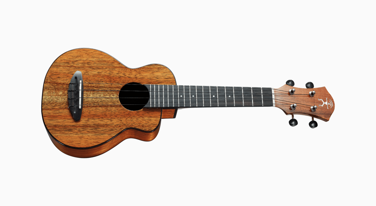 aNueNue US1K - 21吋夏威夷相思木 烏克麗麗