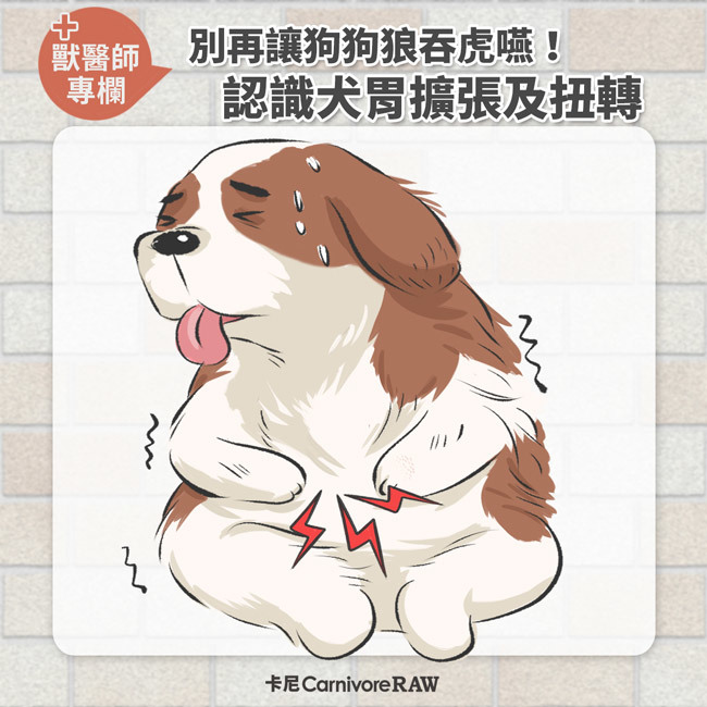 狗狗胃扭轉腹痛