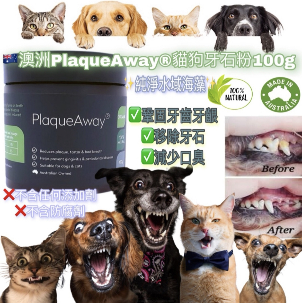 澳洲PlaqueAway貓狗牙石粉100g