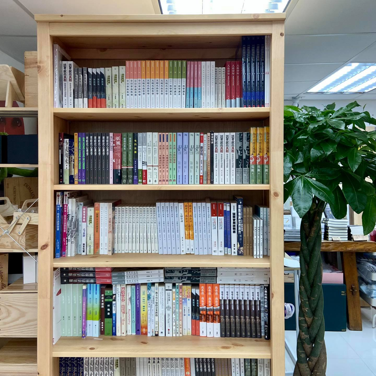 石牆花X蟹貨倉：手足讀書會計劃