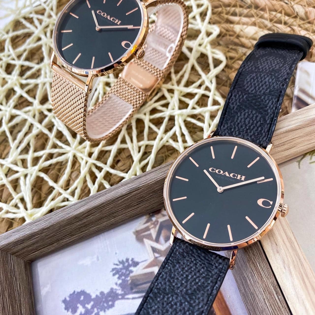 【COACH】經典Logo C 時尚腕錶 CO14602550 皮帶 / CO14602552 不鏽鋼帶 41mm 現代鐘錶