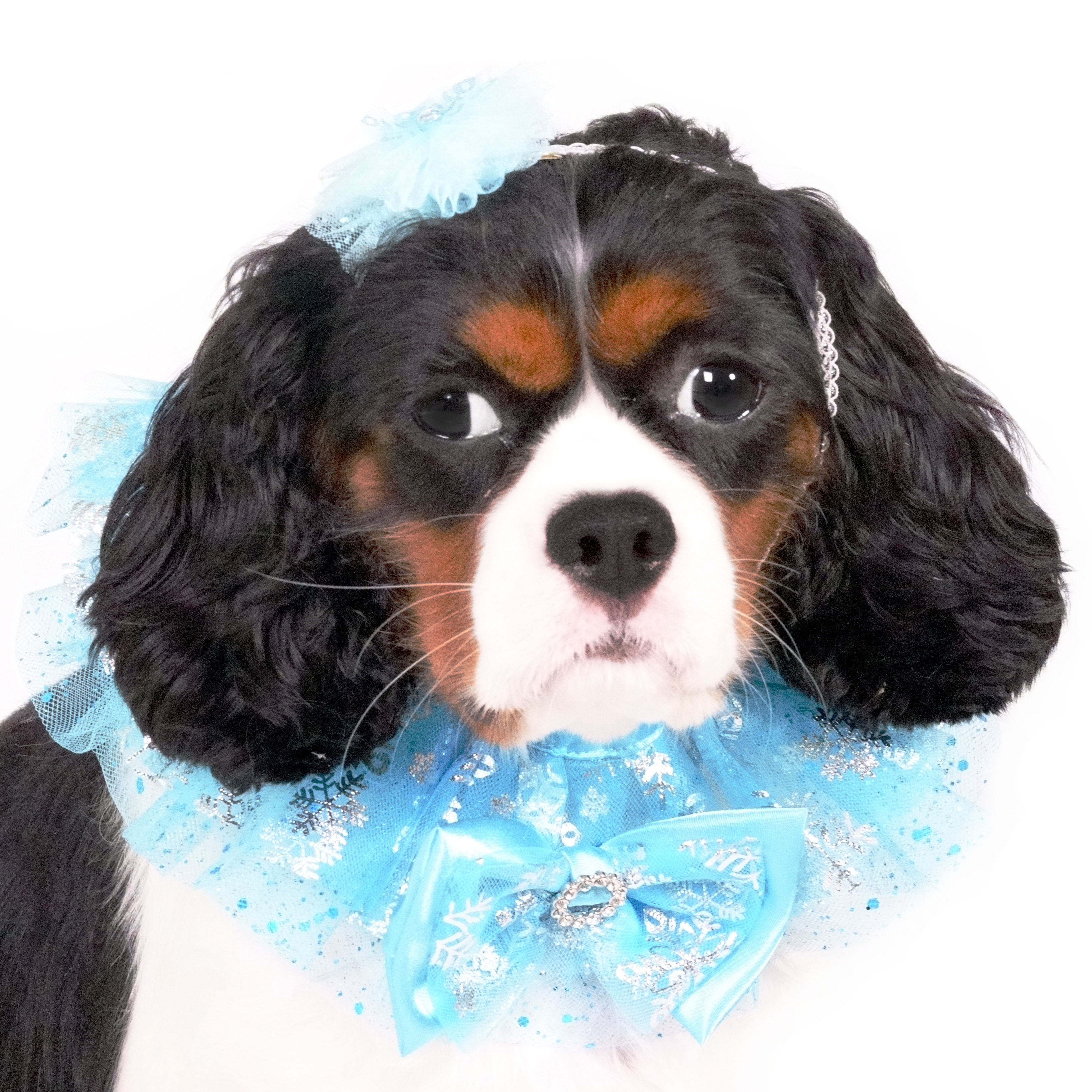 Snowflakes Princess Collar (excluded headband)