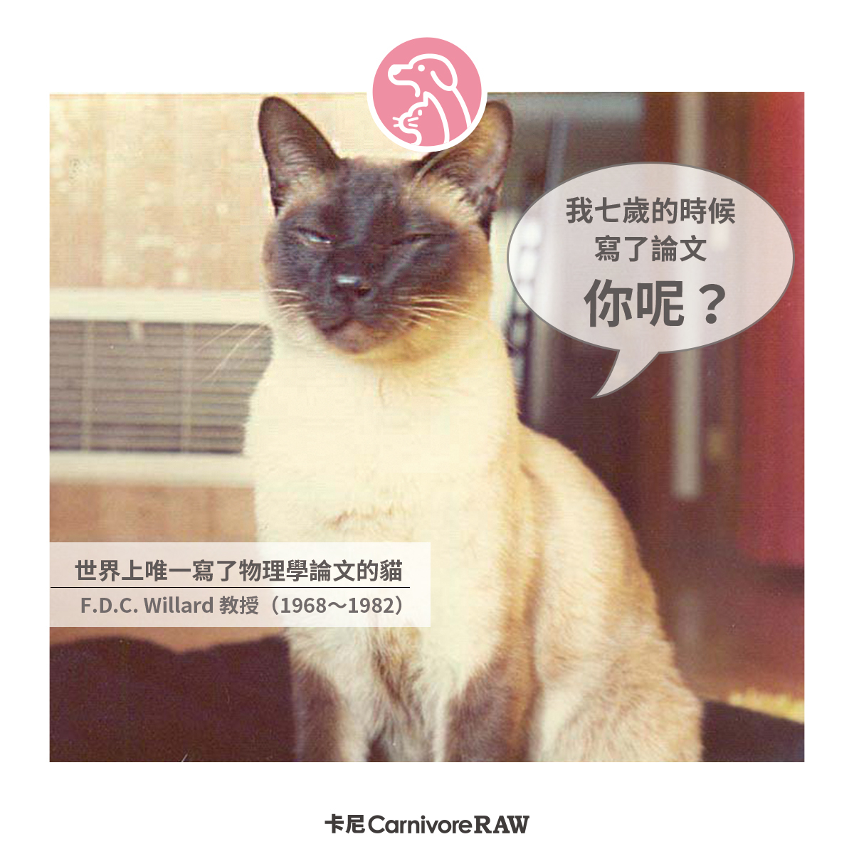 世界上唯一寫過物理學論文的貓