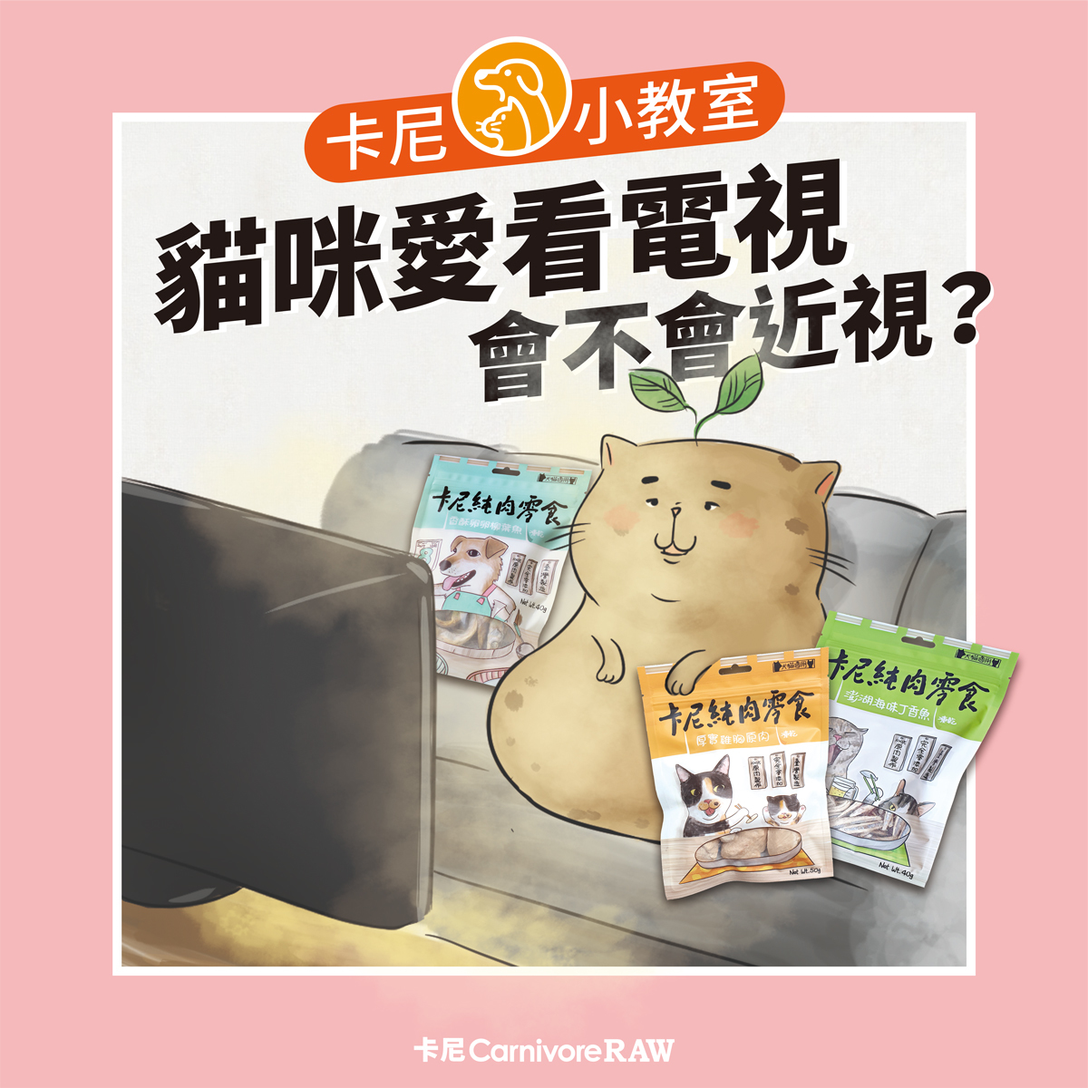 貓咪看電視會近視嗎？