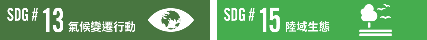 SDGs分類