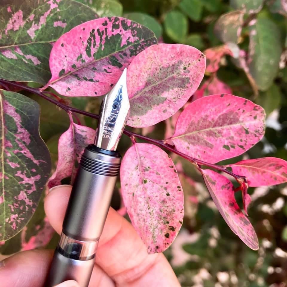 PENLUX M1 活塞鋼筆 臺灣 F 細字