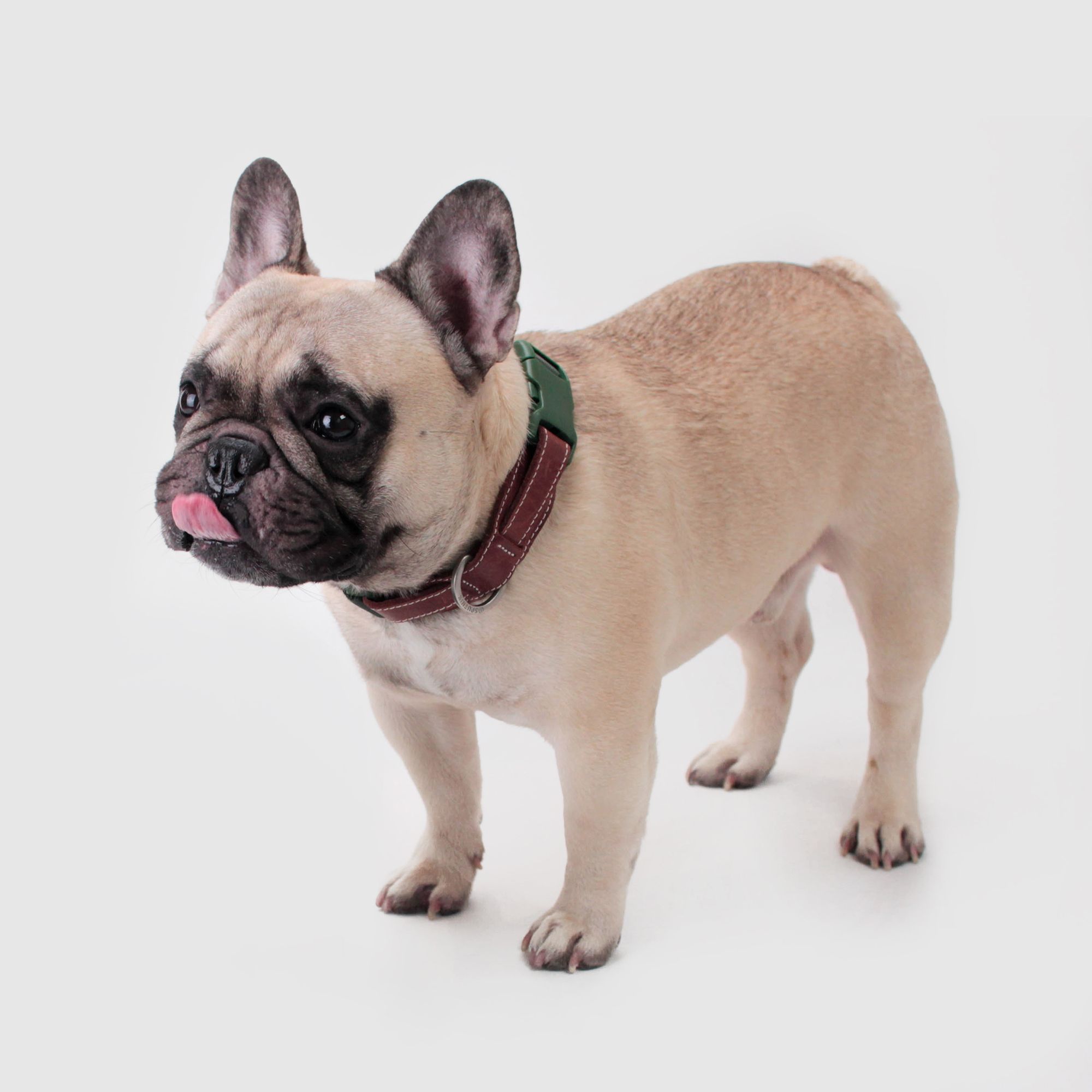 Explore︱項圈 - 綠