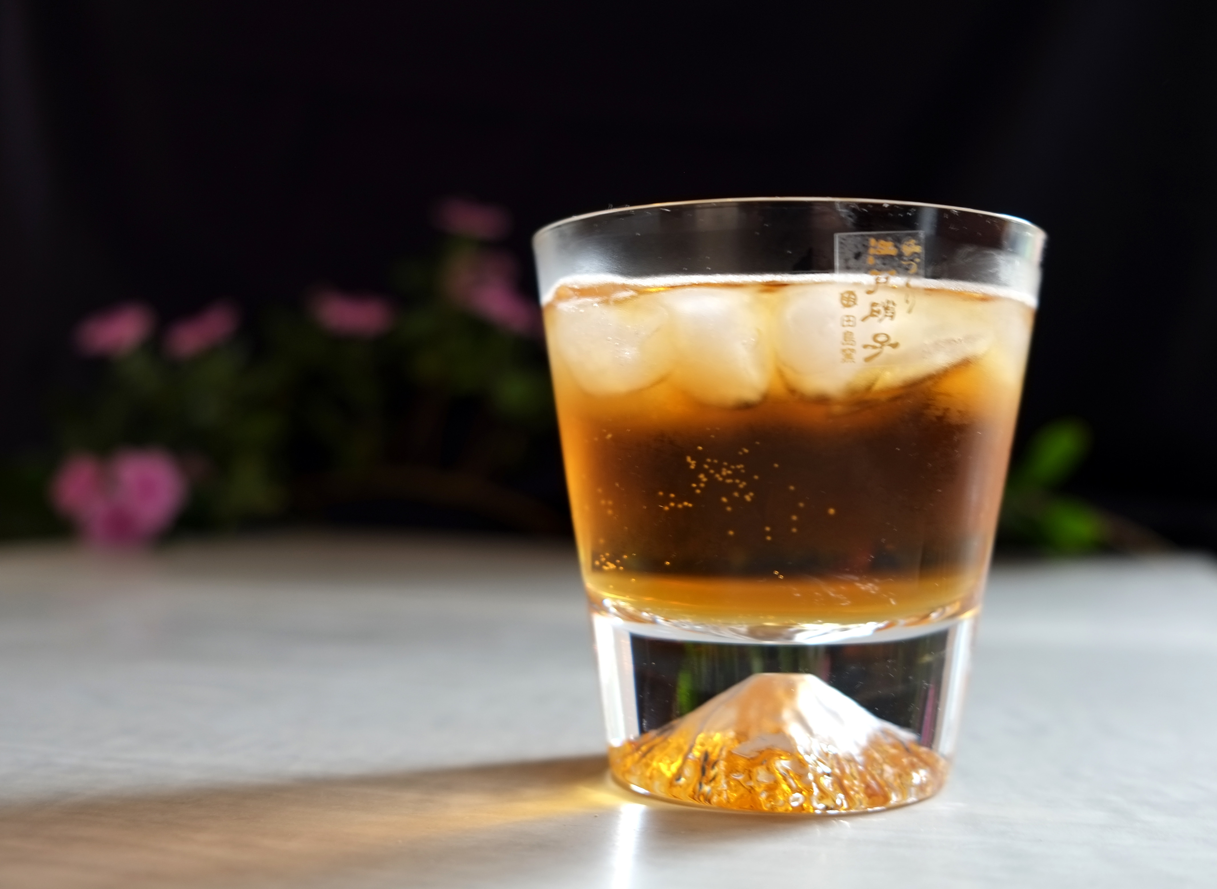 田島硝子 富士山杯