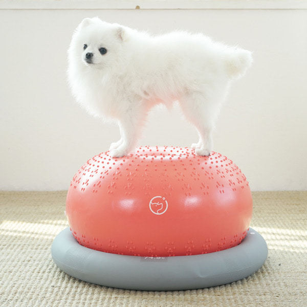 TeunTeun寵物健身球 瑜珈球