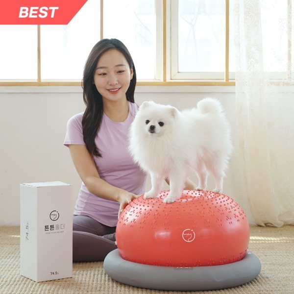 TeunTeun寵物健身球 瑜珈球