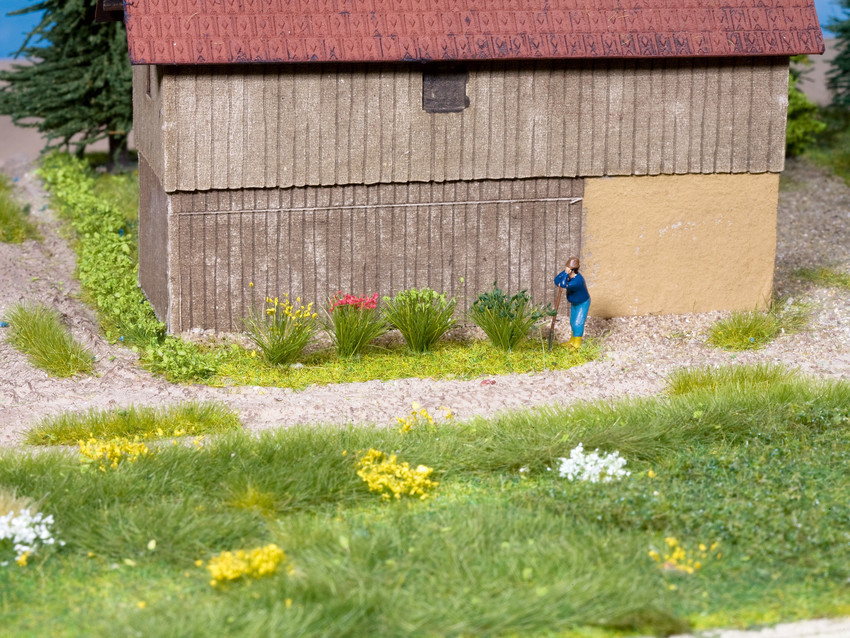 Noch 07135 flowering 各式花叢