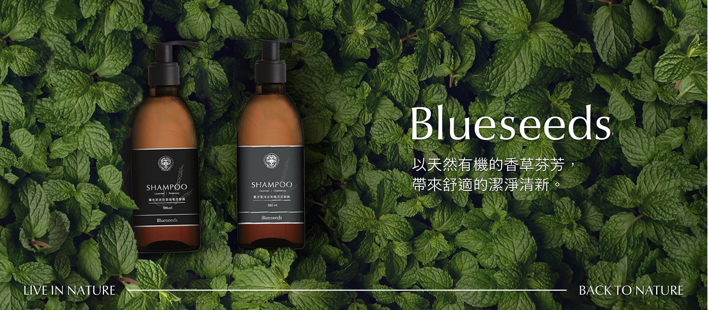 芙彤園blueseeds-慈心有機養生館X綠澄萃