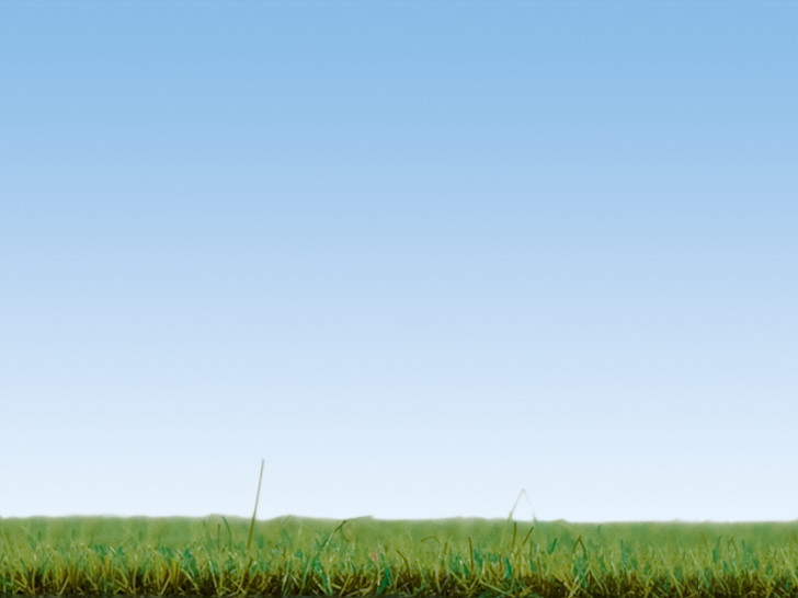 Noch 08150 Scatter Grass Spring Meadow