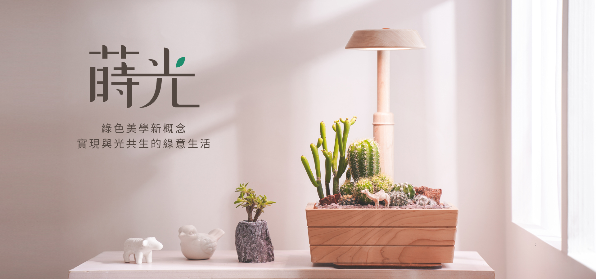 蒔光植物養護分類文章