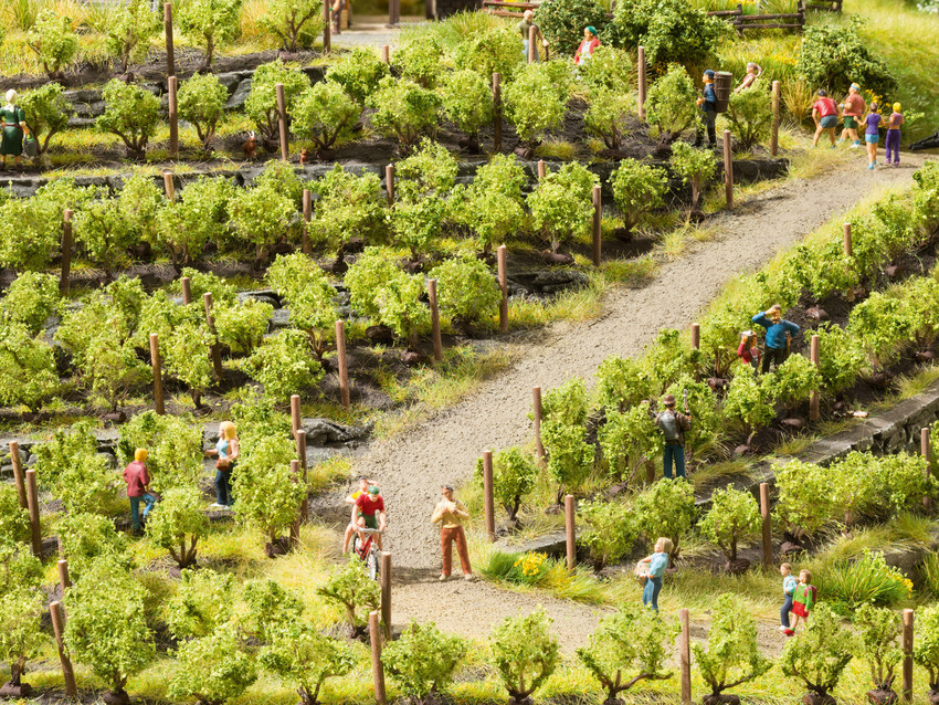 Noch 21545 N scale, Vines, 24pcs