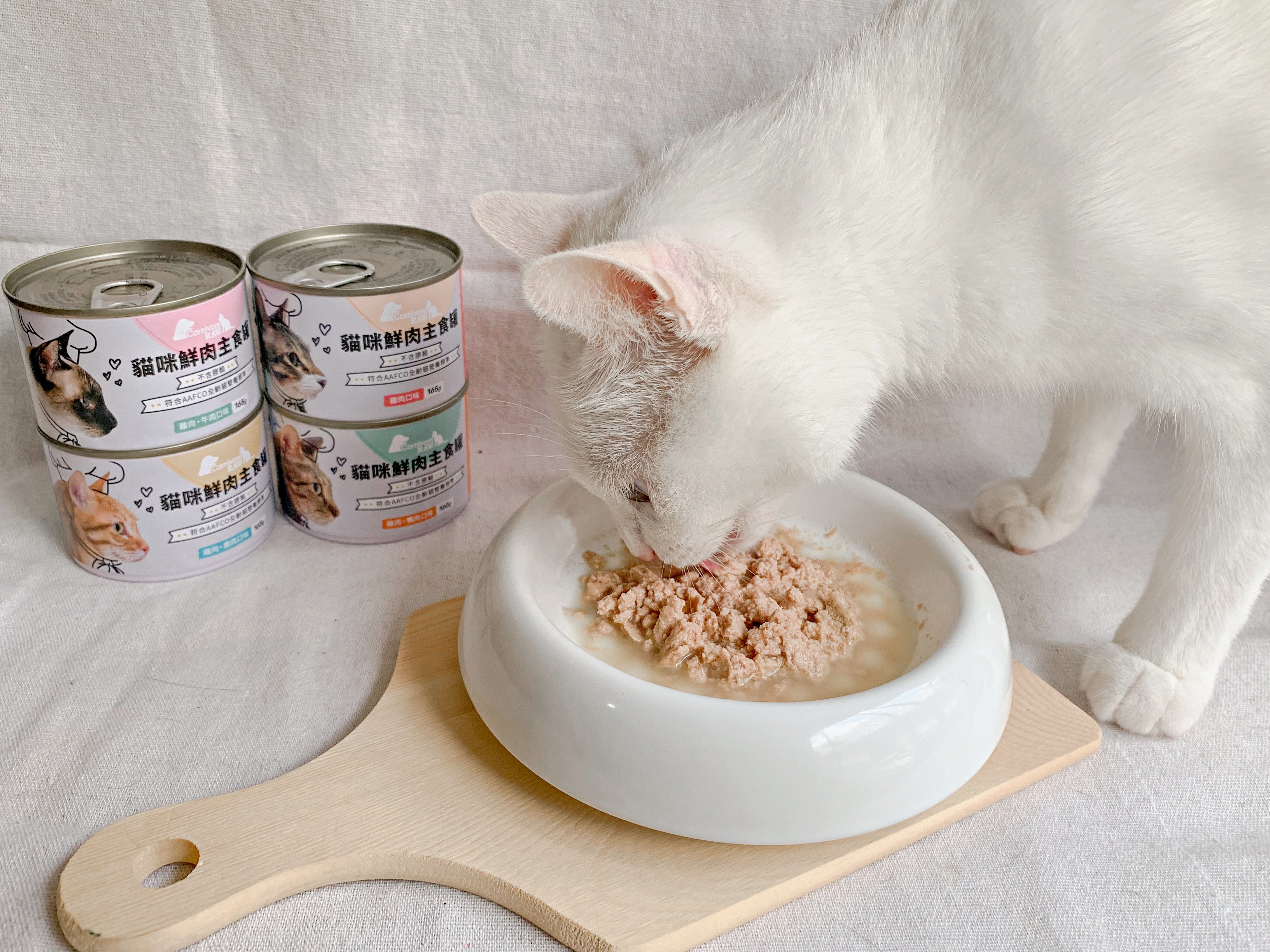 白貓圓仔享用卡尼鮮肉主食罐