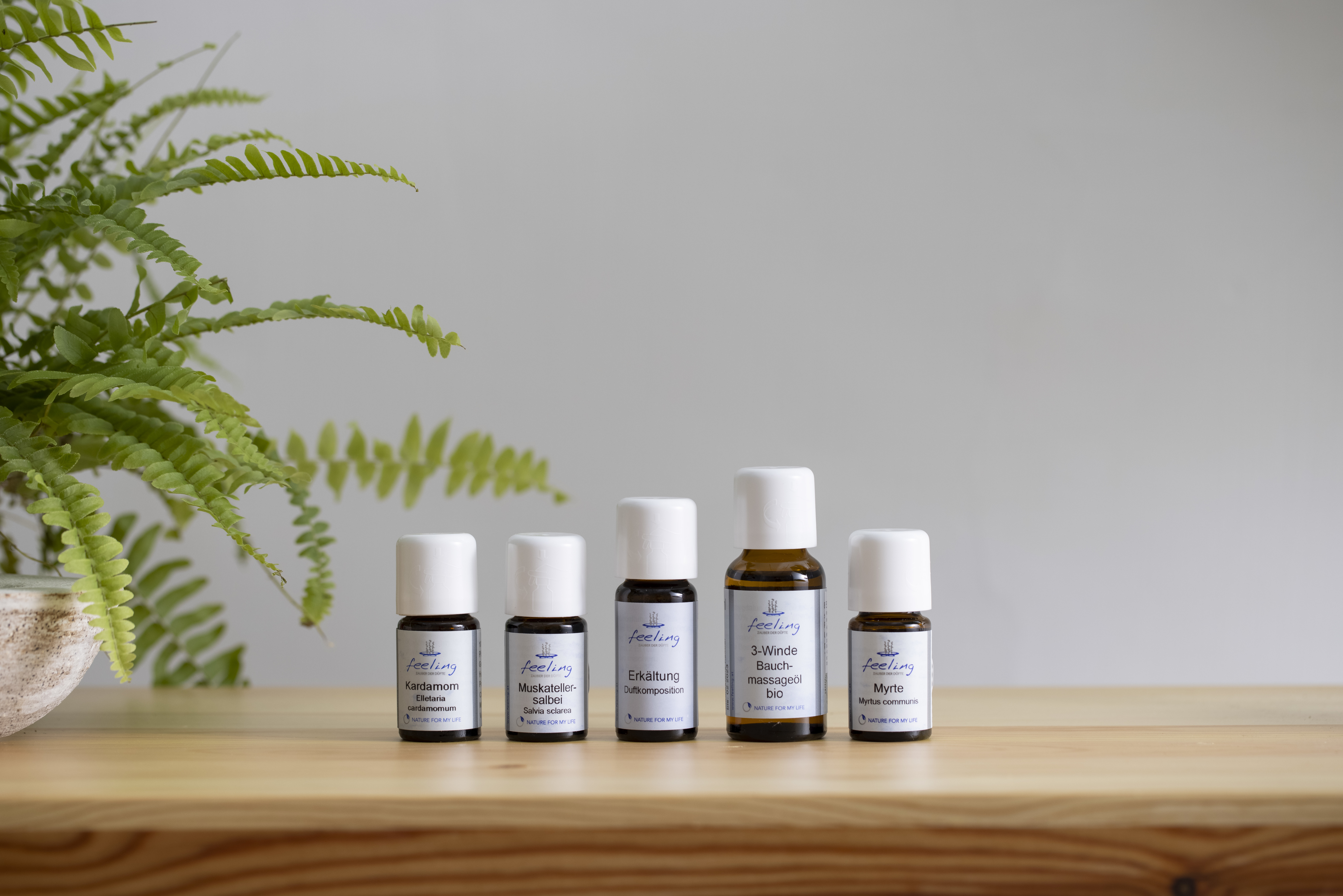 單方精油 | 苦橙葉   Petitgrain  *Bio