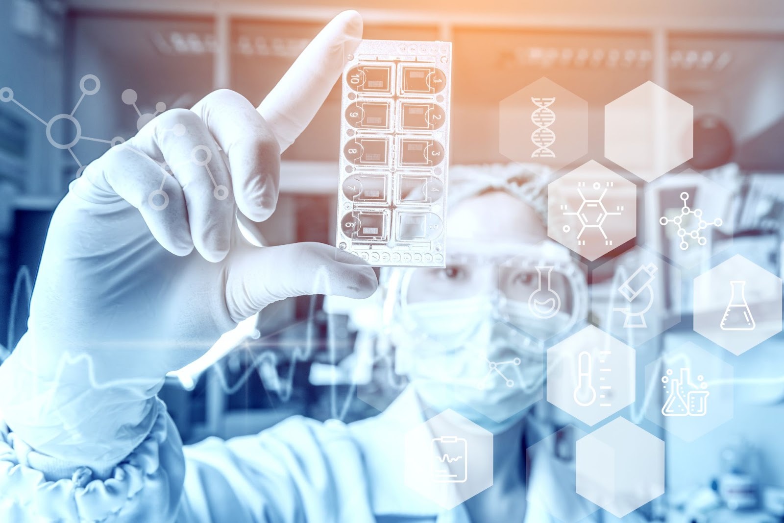 如何挑選薑黃？