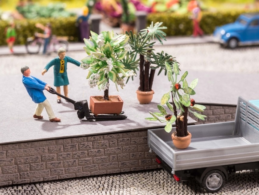 Noch 14023 HO Mediterranean Plants