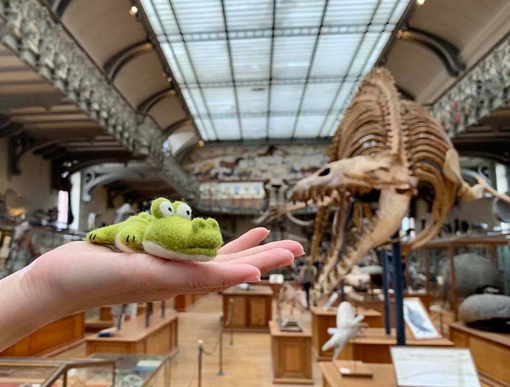 樂洋・好好玩羊毛氈材料包-鱷魚先生