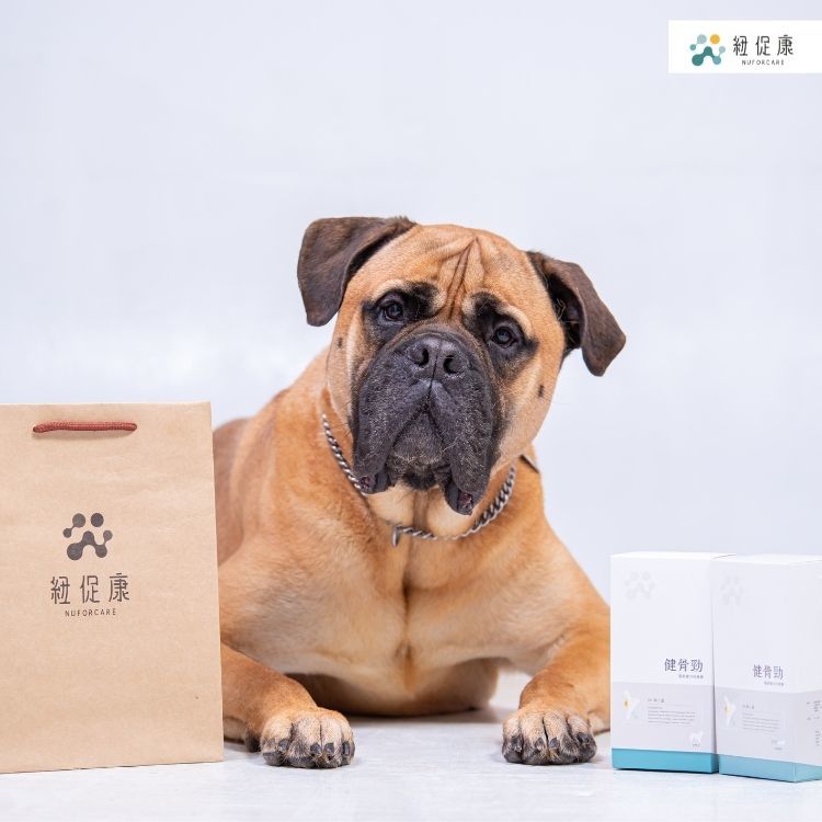健骨勁 【大犬適用】 60錠 - 三入組