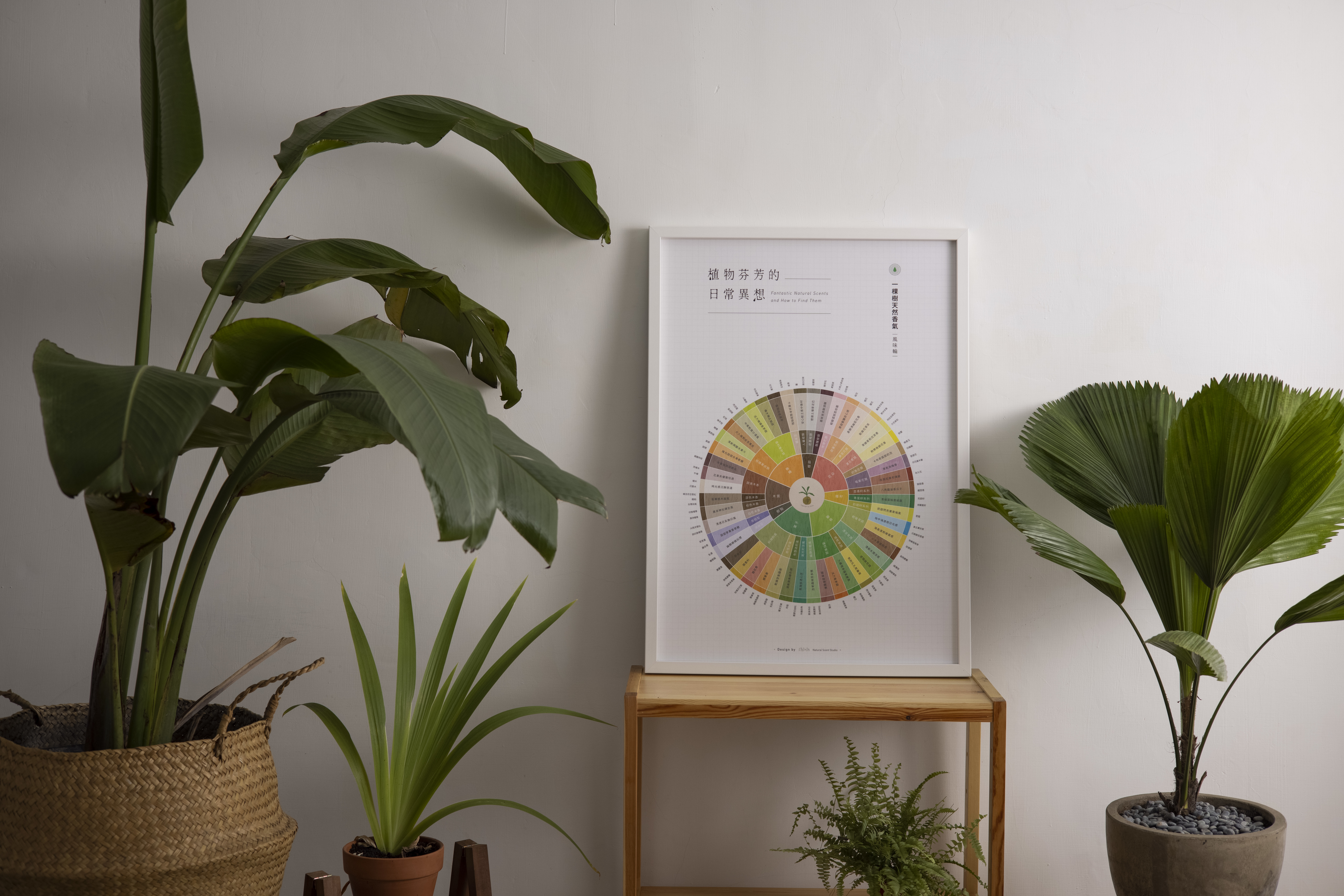 拾心設計 | 天然香氣風味輪．香氣海報