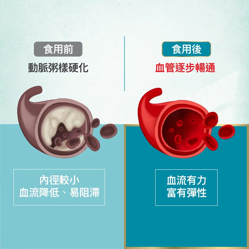 深海魚油 OMEGA-3【萊特維健】WRIGHT LIFE【正品】促進血液循環、改善血清脂質、保護心臟、維持心腦血管健康