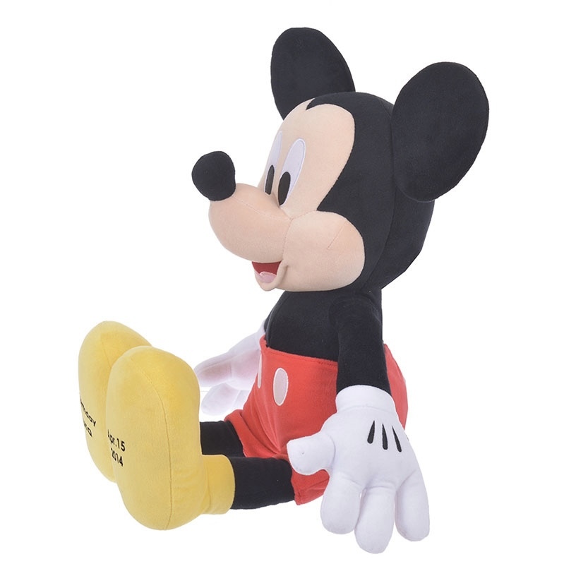 預購┃日本 迪士尼 客製化 米奇 娃娃