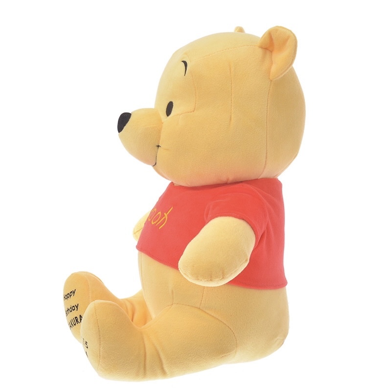 預購┃日本 迪士尼 客製化 小熊維尼 娃娃