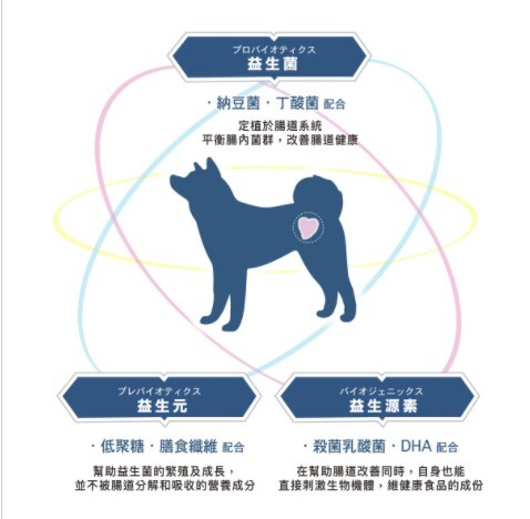 含有維持免疫力 調節腸道菌群的益生菌 納豆芽孢桿菌 產丁酸菌 益生元 低聚醣 膳食纖維 生物源 殺菌乳酸菌