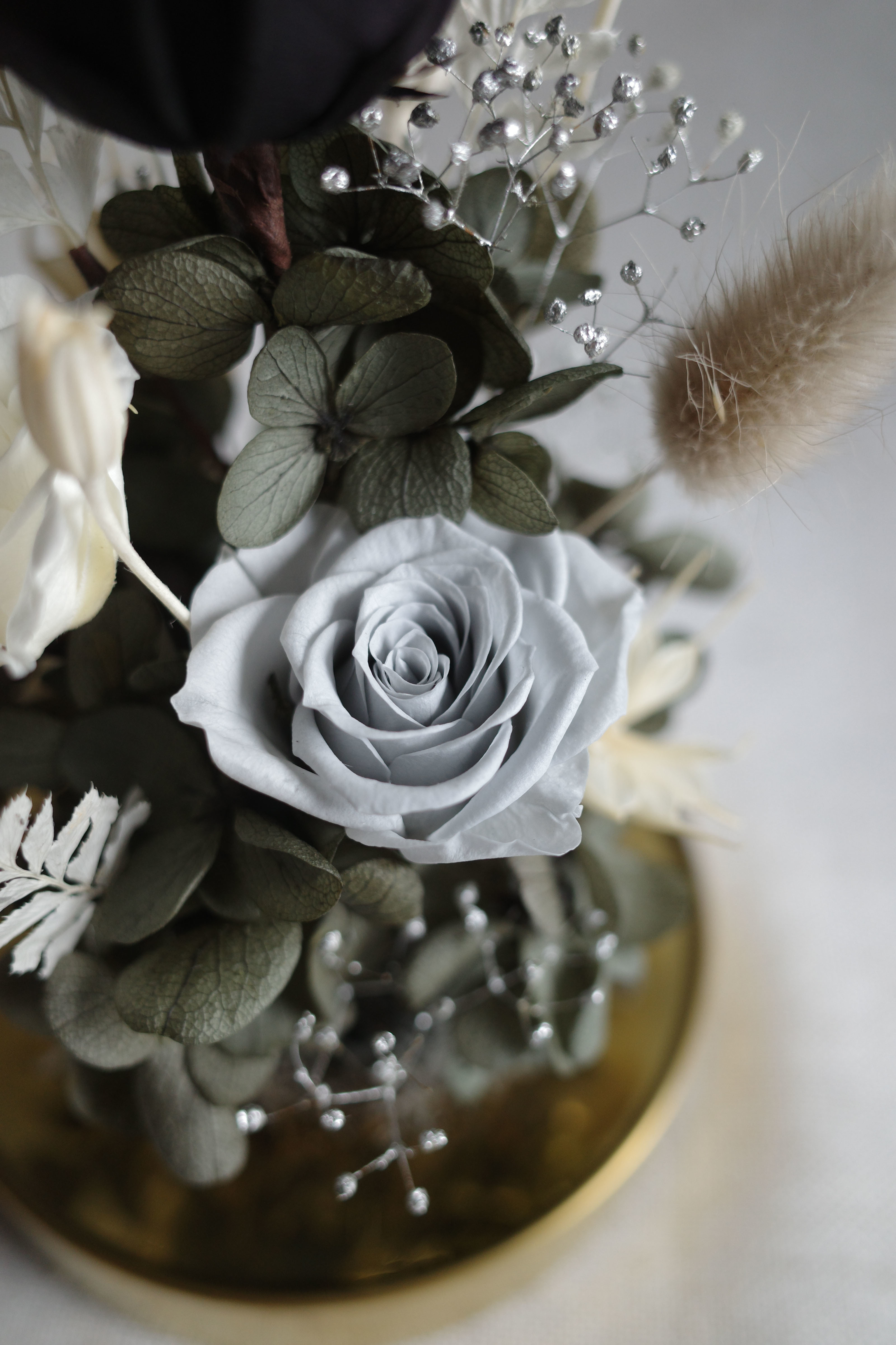 永生鐘罩花系列(小)｜黑玫瑰