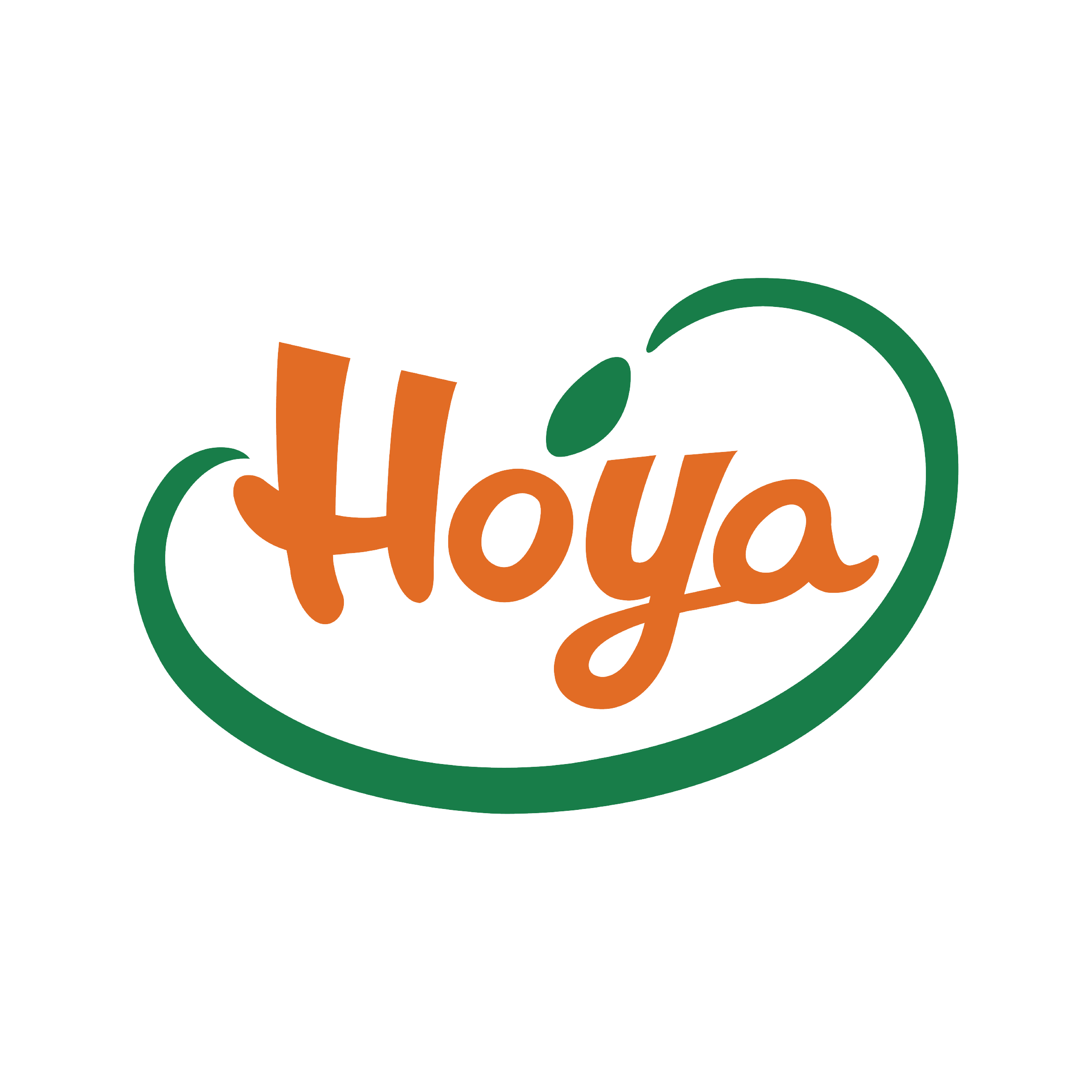 HOYA的LOGO