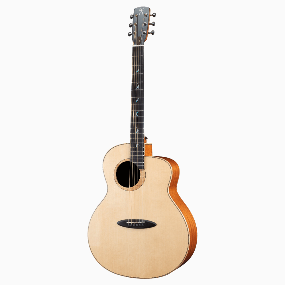 aNueNue aNueNue L 系列 全單 木吉他 — 三峽吉他 / Bass