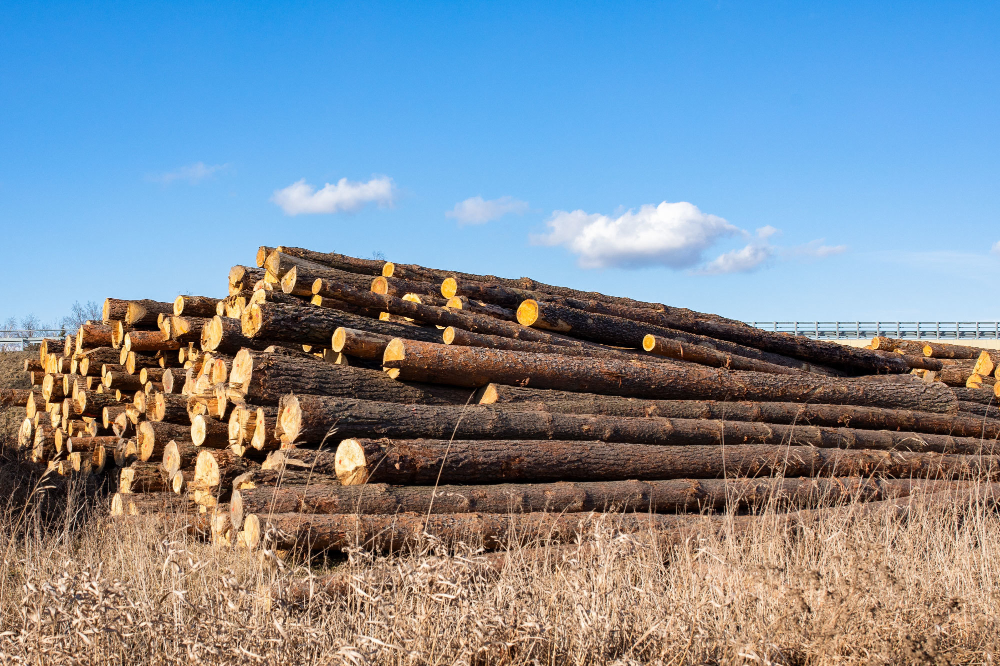 原木樹木在生長過程，可能會因為天氣環境等各種因素產生缺陷，讓原木在加工時不夠穩定。  原木送到木材加工廠後，師傅將其分類並裁切枝節或是有缺陷不適用等部份，做為其他用途。