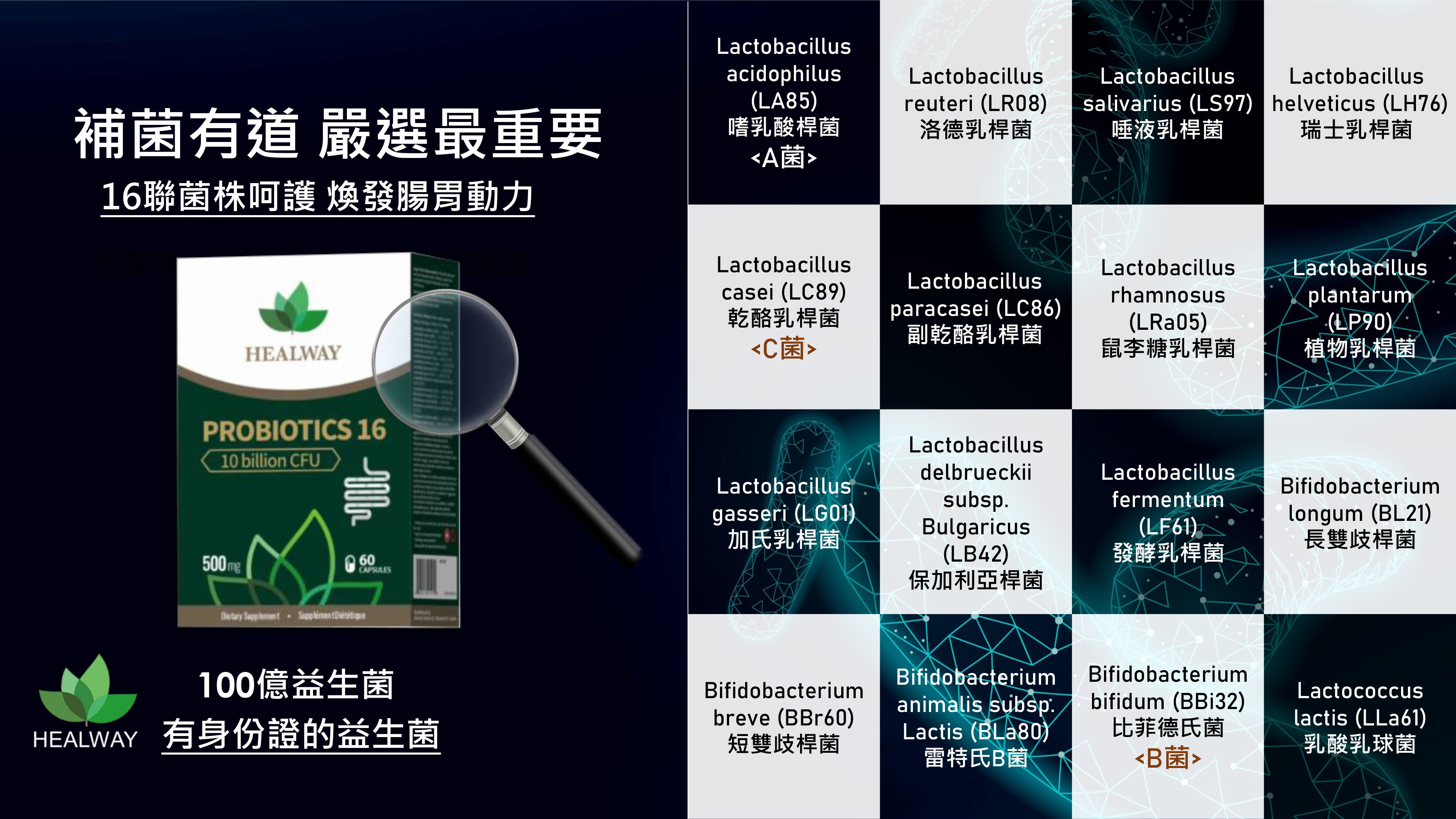 健維益生菌16 PROBIOTCS 16【正品】HEALWAY【免疫+排毒+修身】醫學級益生菌配方 萬中選'益'腸壽好免疫 - 加拿大原裝進口