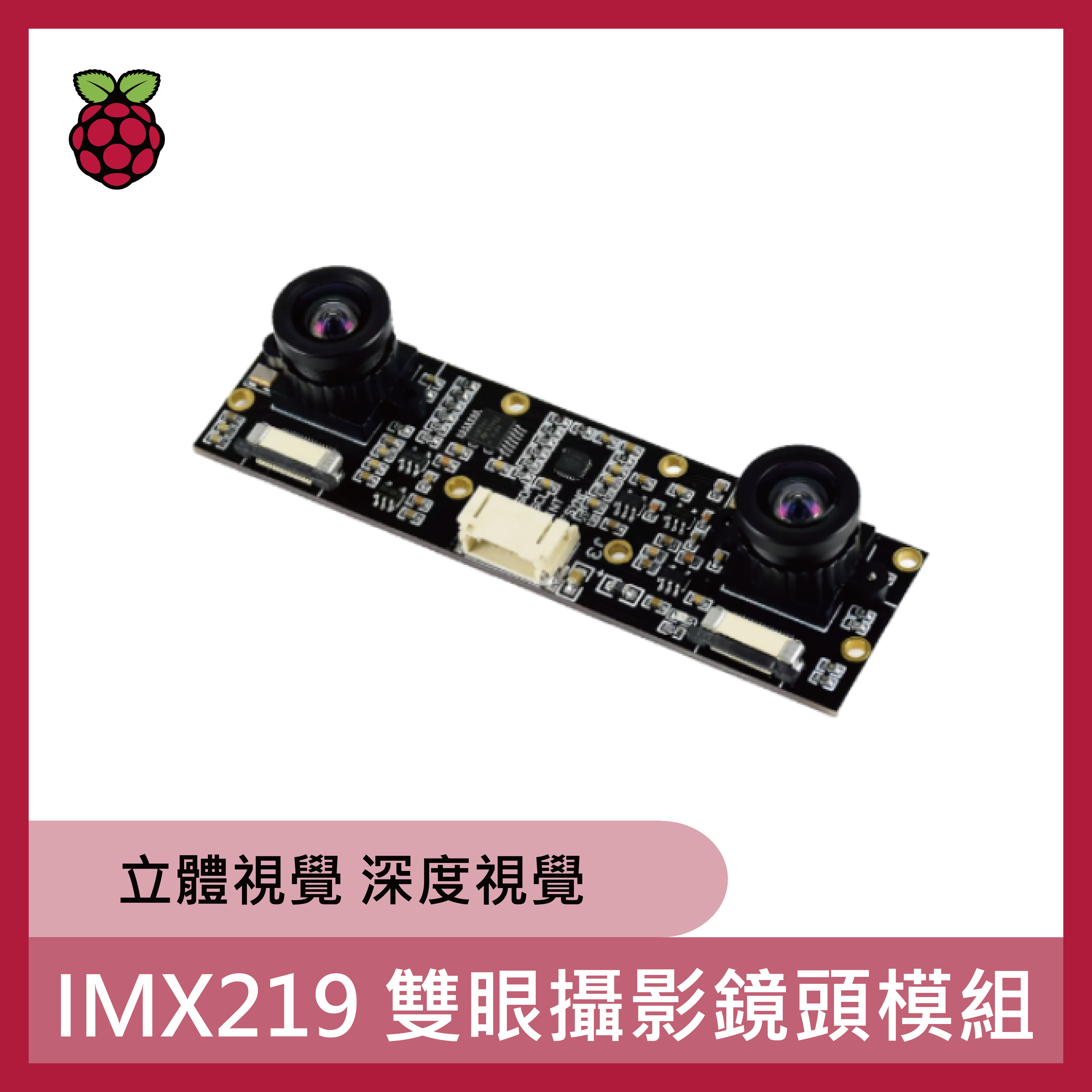 IMX219 雙眼攝影鏡頭模組(B01/orin/Pi5/CM4 適用)