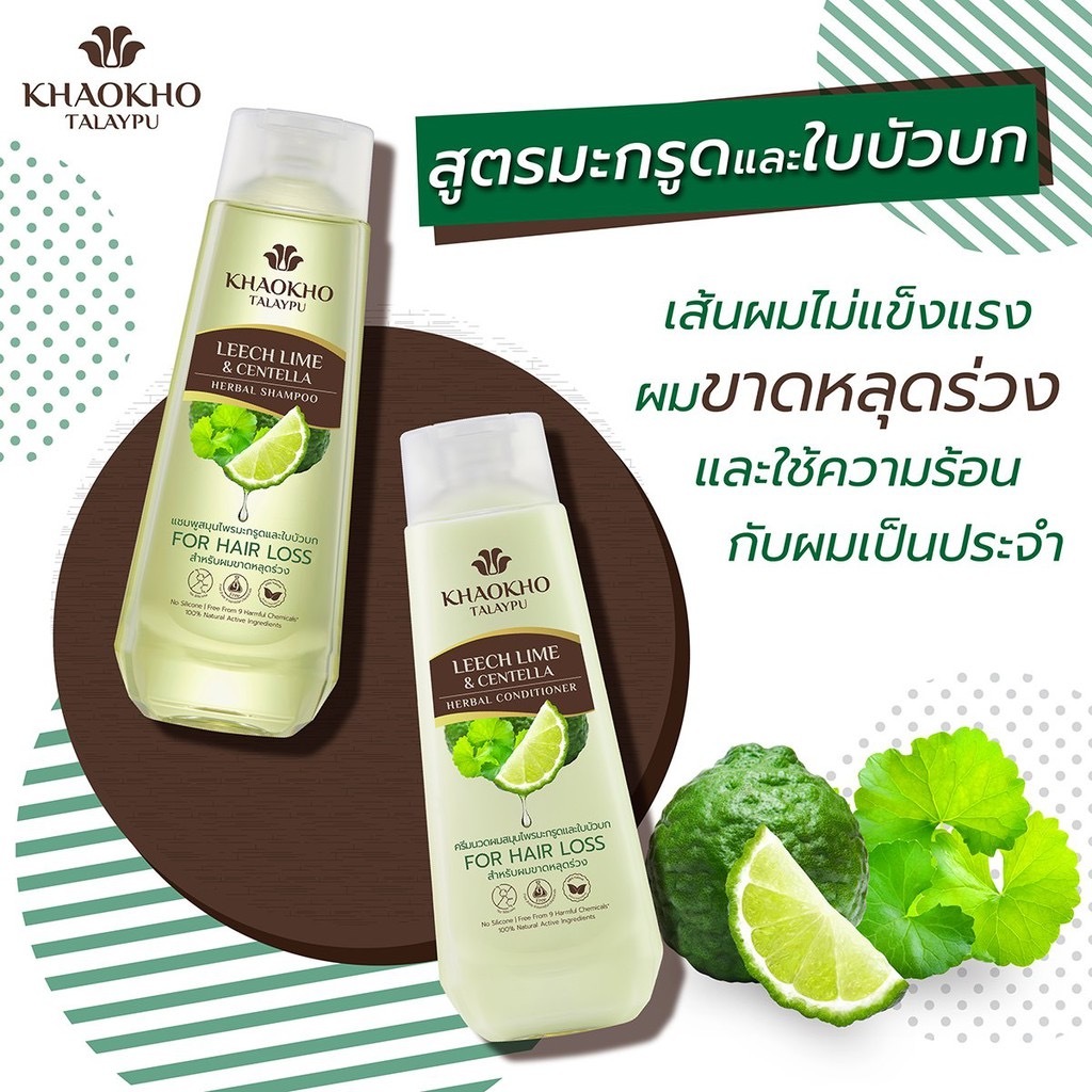 泰國Khaokho Talaypu 古法草本洗髮水及護髮素強效防脫髮配方套裝330ml