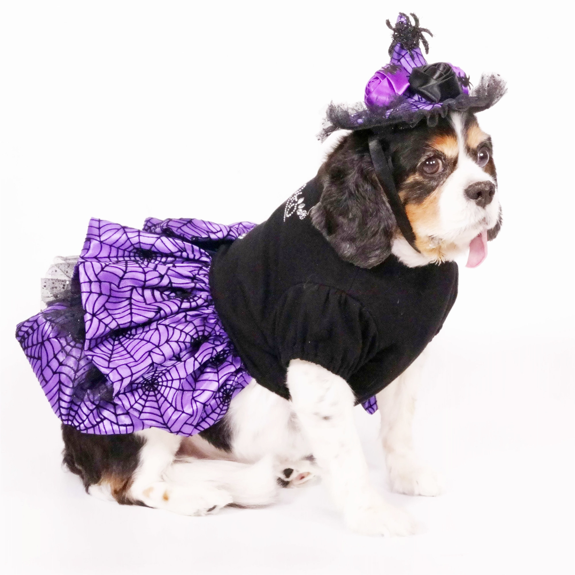 Halloween Cutie Witch Dress