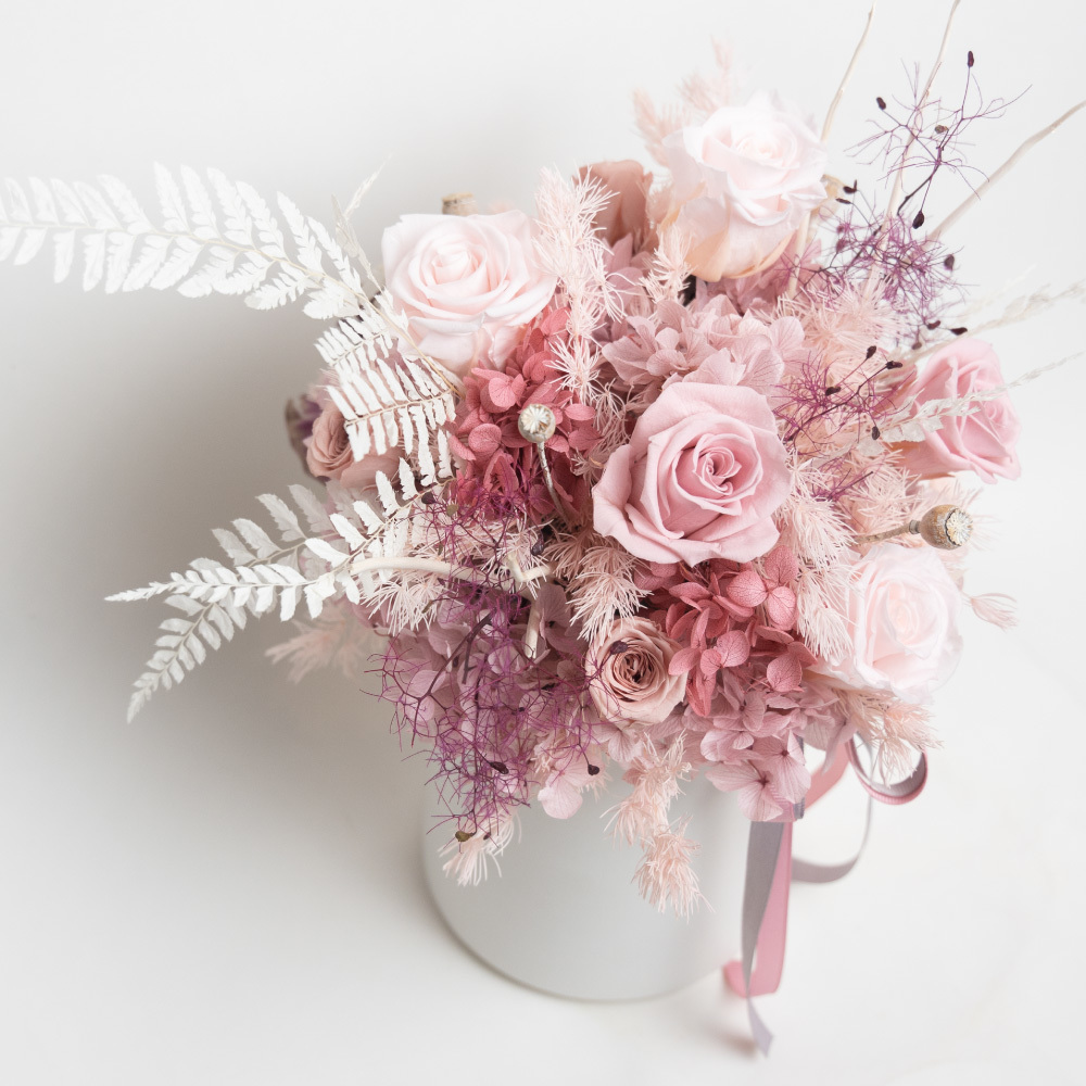 振翅 恆星花盆花