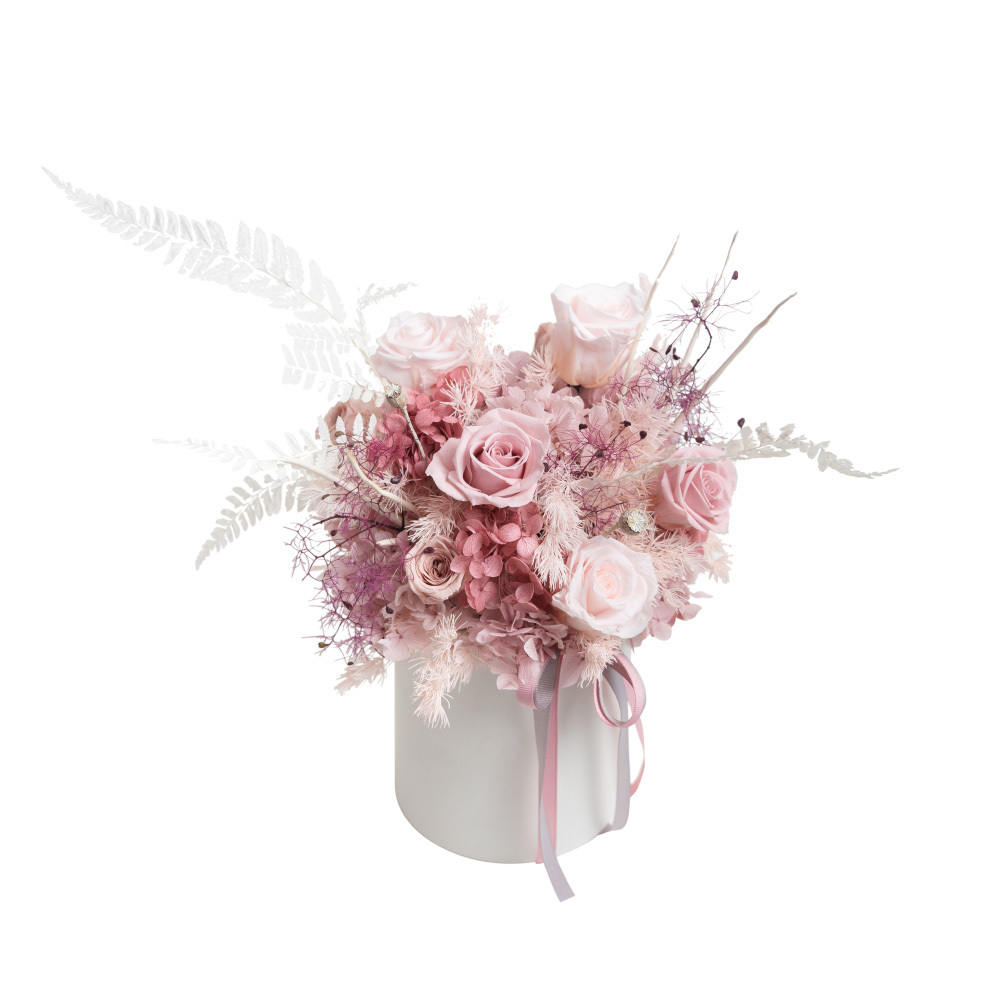 振翅 恆星花盆花