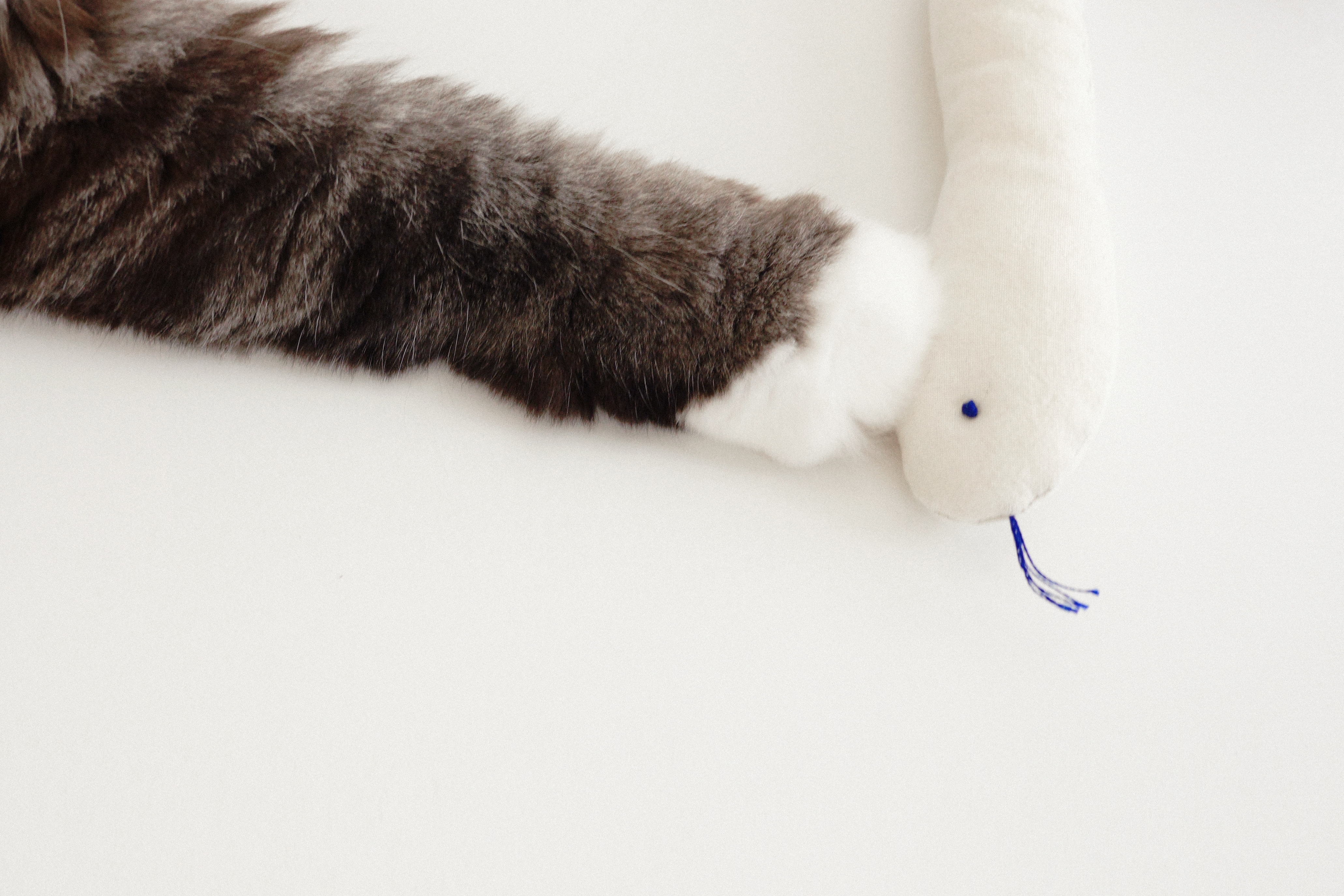 寵物玩具 | 小白蛇 - The Royal Grocery