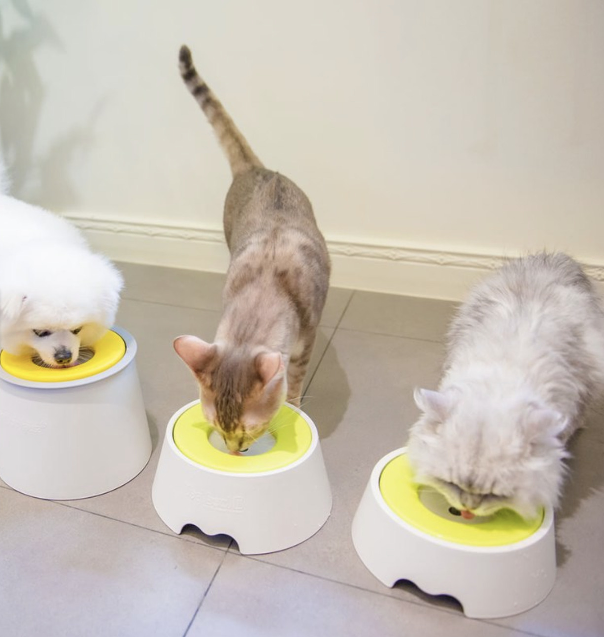 YogiPet - 抗菌98.7% 只喝乾淨水的碗1,000ml